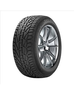 DUNLOP WINTER 245/45 R18 100V XL