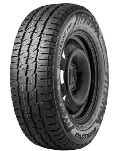 DOUBLESTAR WINTERKING DW06 205/65 R16C 107/105R