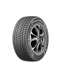 GT RADIAL WINTER PRO EVO2 155/70 R13 75T