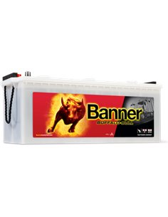 BANNER Buffalo Bull 12V 180Ah 900A - Borna Tip camion