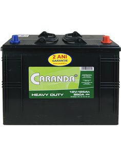 CARANDA HEAVY DUTY 12V 125Ah 850A - Borna Tip camion