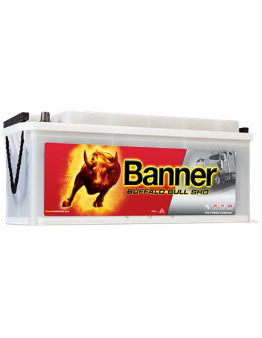 BANNER Buffalo Bull SHD 12V 110Ah 760A - Borna Tip camion