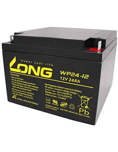 CARANDA LONG Stationara AGM/VRLA 12V 24Ah