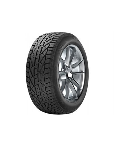 SEBRING SNOW 205/55 R17 95V XL