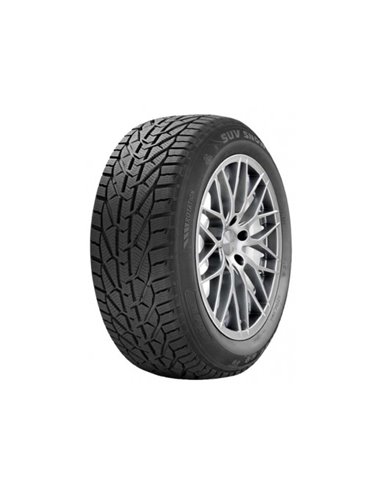 RIKEN SUV SNOW 235/55 R19 105H XL