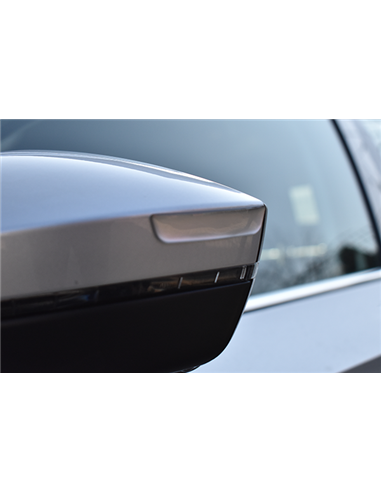 ORNAMENT PROTECTIE PORTIERA / OGLINDA ARGINTIU