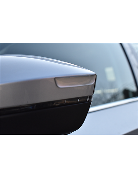 ORNAMENT PROTECTIE PORTIERA / OGLINDA ARGINTIU