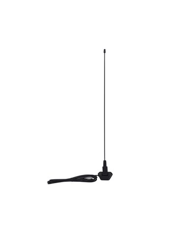 ANTENA AUTO PAVILION