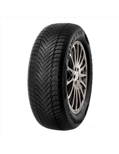 MINERVA FROSTRACK HP 195/70 R14 91T