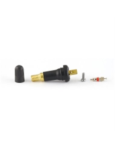 Senzor presiune Valva Snap In Schrader Rev4 