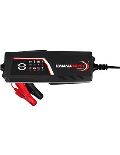 REDRESOR INTELIGENT 12V 3.8A