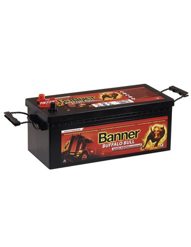 BANNER Buffalo Bull SHD PROfessional 12V 225Ah 1150A - Borna Tip camion