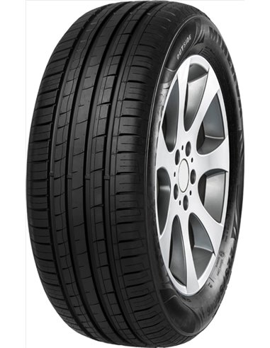 MINERVA F209 205/55 R16 91W